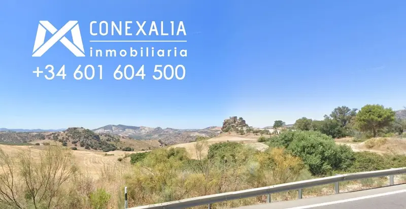 Finca Rustica con Castillo en Olvera Cadiz