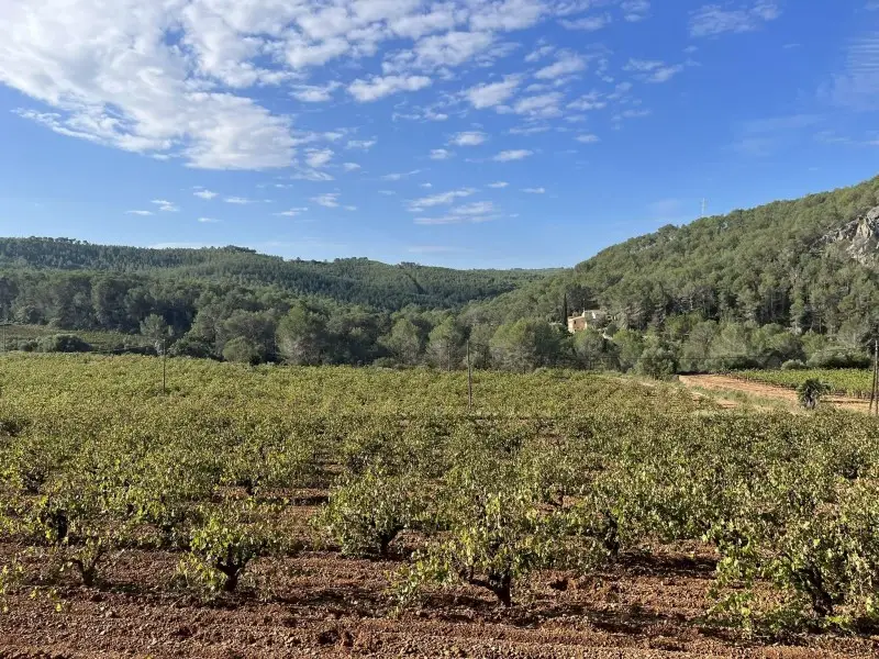 Venta Terreno Olivella Ref MMS-738