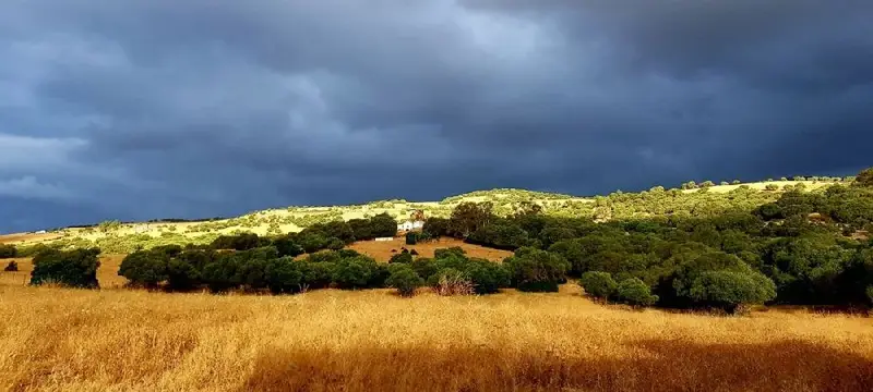 Venta Casa en Bolonia Tarifa 65737m2