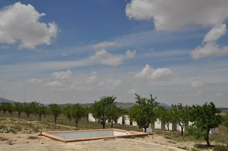 Terreno con Almendros y Perreras en Venta - Oportunidad de Negocio