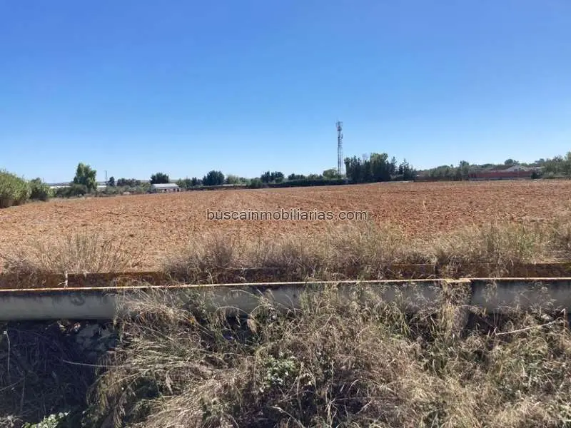 Terreno Urbanizable en Jerez de la Frontera 20256m2