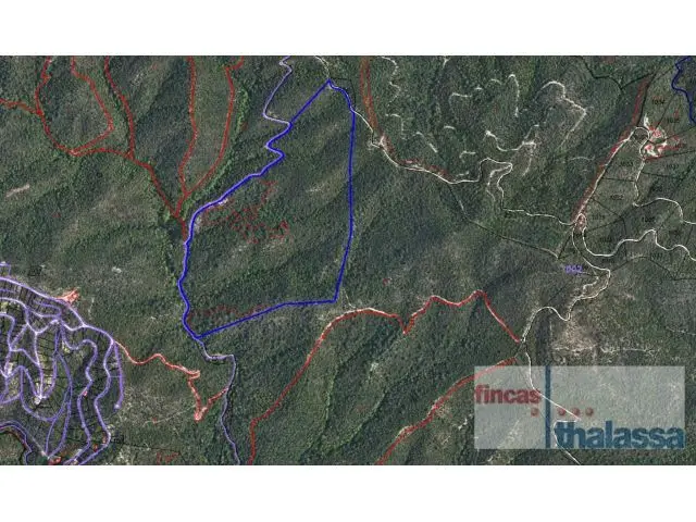 Finca Rustica 255HA Lloret de Mar Girona