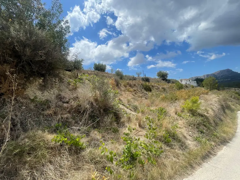 Terreno Rústico en Venta Benissa 10478m2 Vistas Montaña