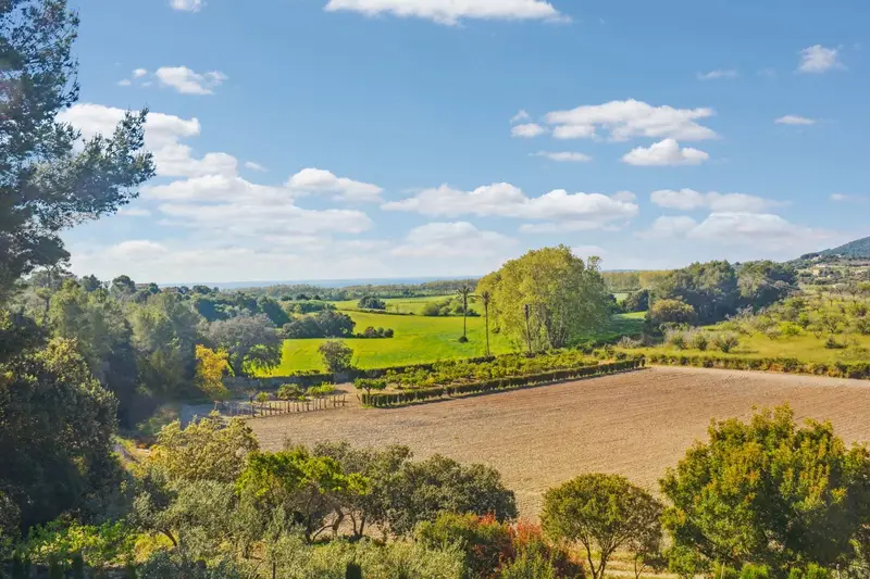 Finca Rustica en Venta Son Servera Mallorca