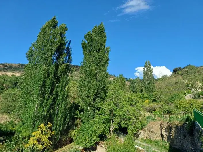 Finca 6 Dormitorios con Piscina Privada Venta Oportunidad Reforma