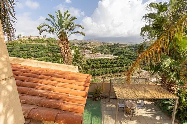 Finca Productiva Aguacates Hass Motril Vistas Costa Tropical