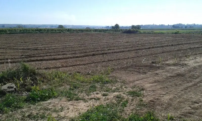 Venta Finca Rustica Regadio Castelldans