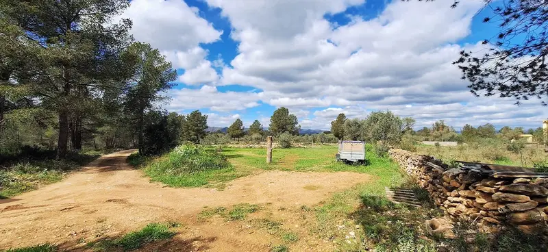 Finca/Casa Rural en venta en Ginestar, Tarragona