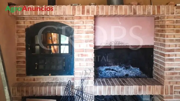 Venta Finca Almendros Riego Teruel