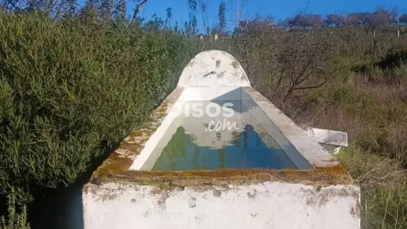 Finca Rustica en Venta Sanlúcar La Mayor