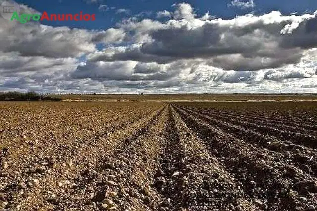 Venta  de Finca de secano en Ciudad Real