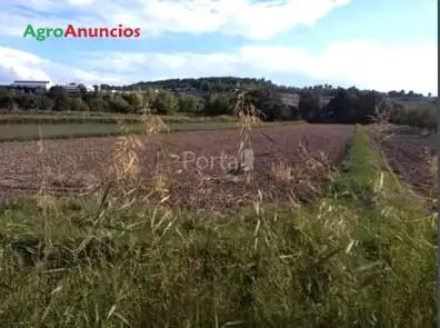 Venta  de Finca de regadío para huerta en Granada