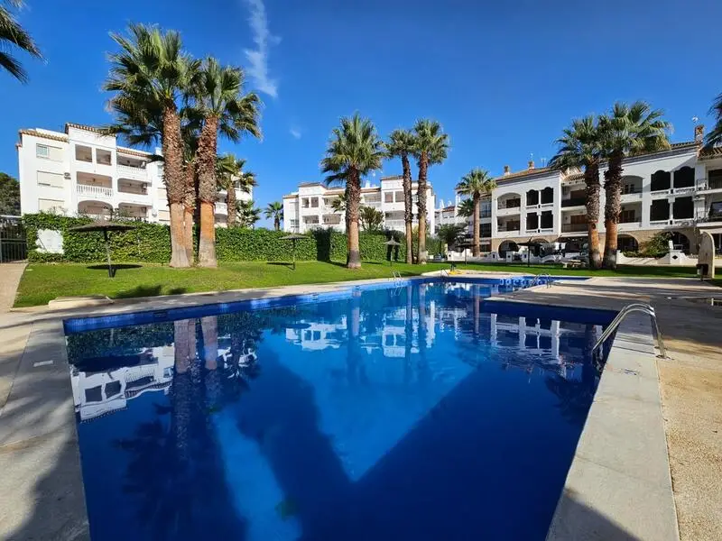 Apartamento 1 Dormitorio Villamartin Plaza Reformado
