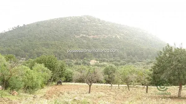 Terreno Rustico 17000m2 Llucmajor Mallorca Vistas