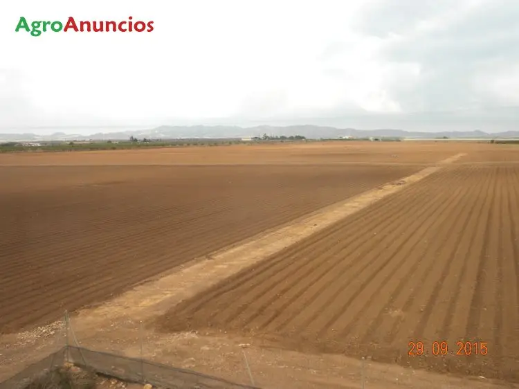 Venta  de Finca rustica incluida en parque solar fotovoltaico en Murcia