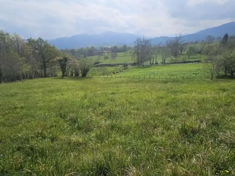 venta Terreno en Valle, Asturias (PHF-3141)- Globaliza