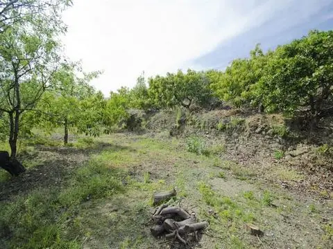 Casa de Campo en Venta Canillas de Albaida