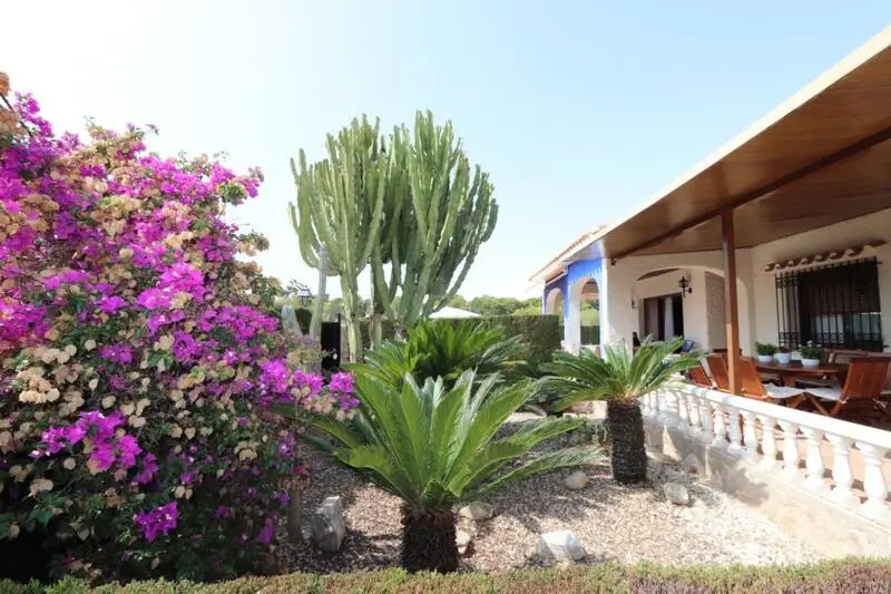 Villa 4 Dormitorios Campoamor Orihuela Costa