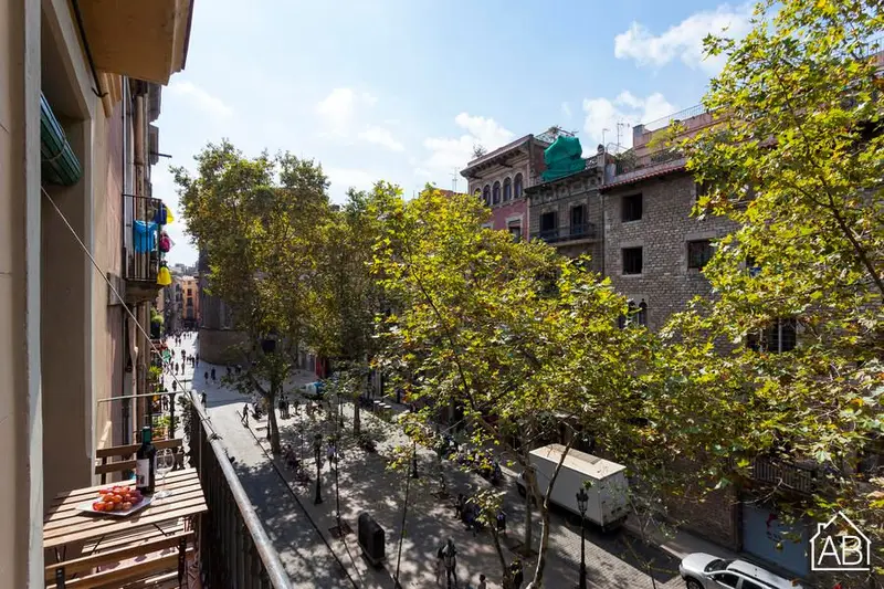 Apartamento 2 Dormitorios El Born Barcelona Centro