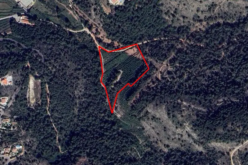 Venta Solar Rustico Benidoleig 16300m2