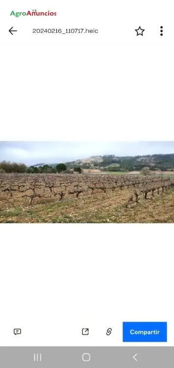 Alquiler  de Finca de viñedo de secano en Valladolid