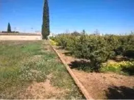 Venta  de Finca con cítricos de regadío en Valencia