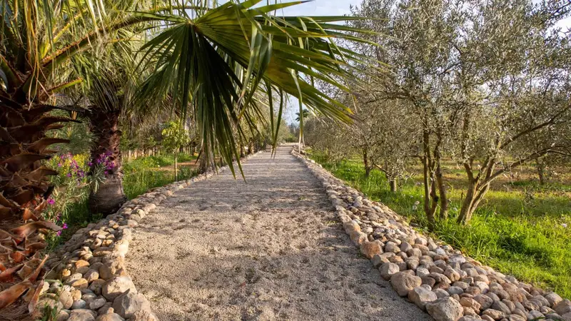 Finca Rústica Lujosa en Venta Mallorca