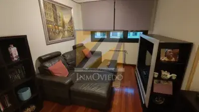 Apartamento en Alquiler Oviedo Pumarin-Teatinos 47m2 Adaptado