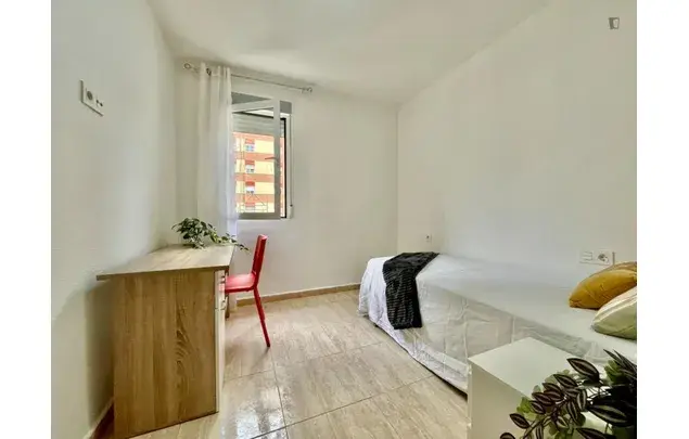 Alquiler Apartamento 4 Dormitorios Murcia Estudiantes Erasmus