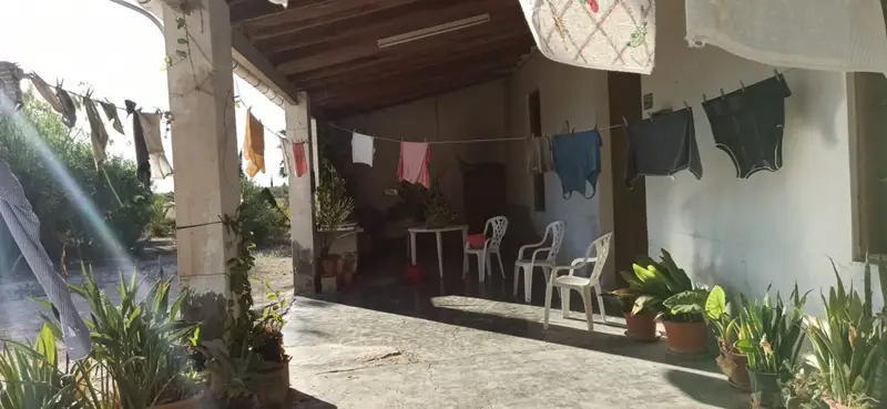 Venta Chalet Jardin Maitino Elche