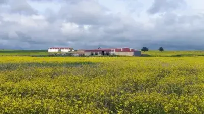 Finca rústica en venta en Calle Paraje de La Era