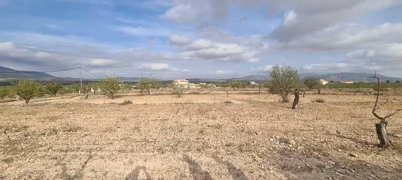 Terreno en Venta Pinoso Alicante