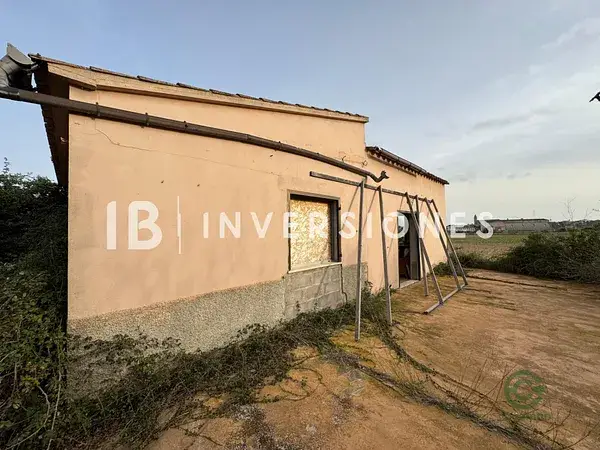 Finca Rustica Petra 14000m2 Casa 60m2