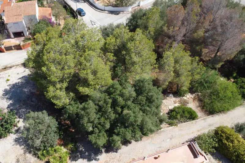 Terreno en Venta Denia  Desarrollo Residencial 3034m2