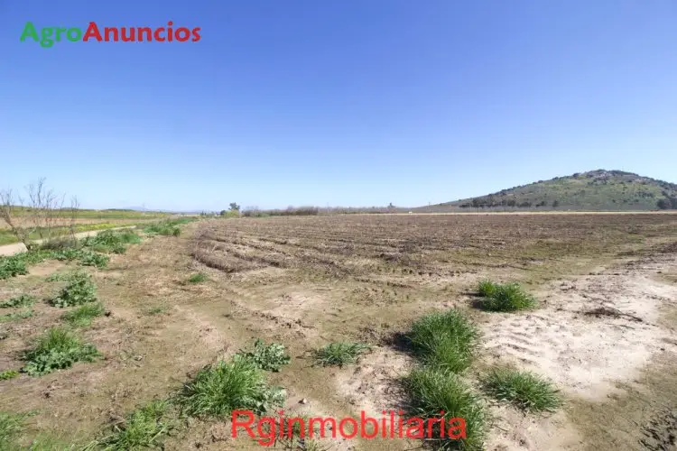 Venta  de Terreno de regadío en Badajoz