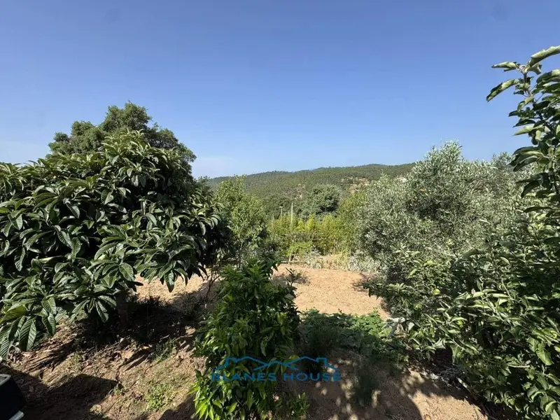 Finca/Casa Rural en venta en Riudarenes, Girona