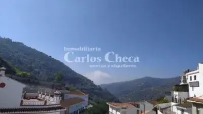 Atico en Alquiler Sayalonga Larga Temporada 2 Dormitorios