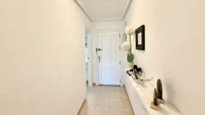 Apartamento en Alquiler La Mata 2 Dormitorios Terraza Garaje