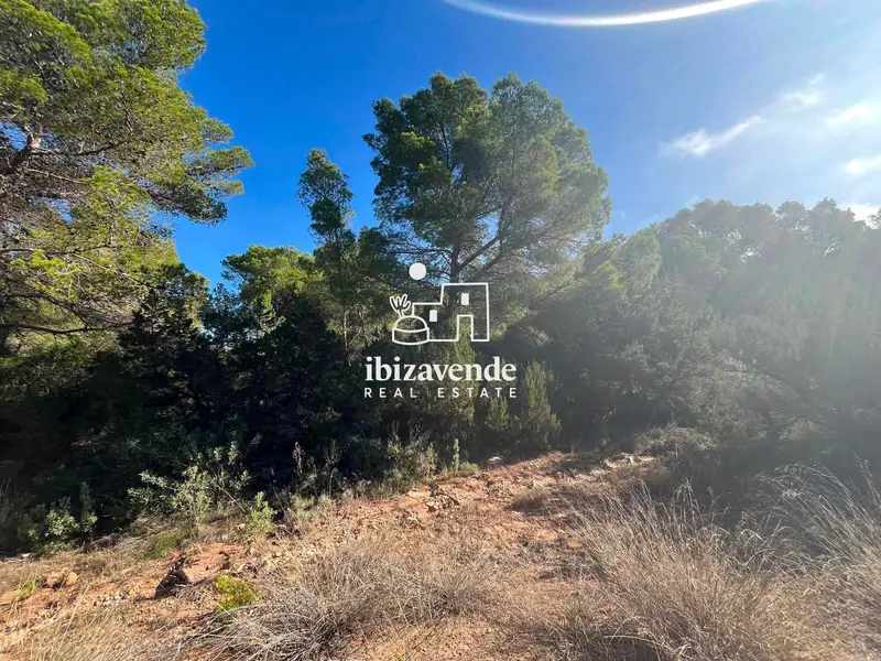 Parcela Rustica en Venta cerca de Es Vedra Ibiza