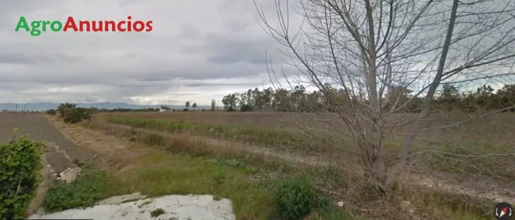 Venta  de Finca de regadío en Tarragona