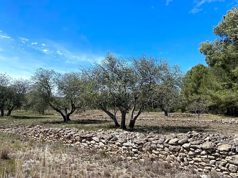 Finca Rustica en El Perello Tarragona 37292m2