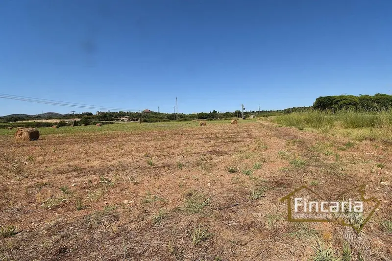 Finca/Casa Rural en venta en Manacor, Mallorca
