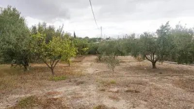 Casa Rustica en Venta Pechina Cortijo a Reformar 2000m2