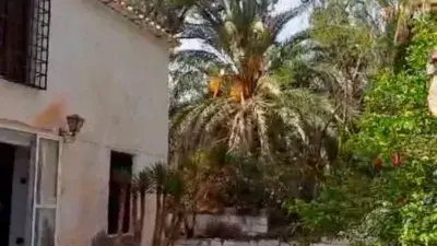 Cortijo Solariego con Finca de 135 Hectareas