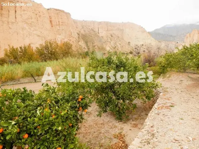 Finca Rustica con Arboles Frutales y Varias Casas en Jijona