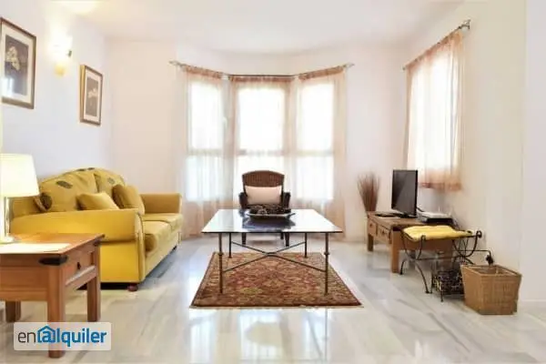 Furnished apartment rental Nueva Andalucía