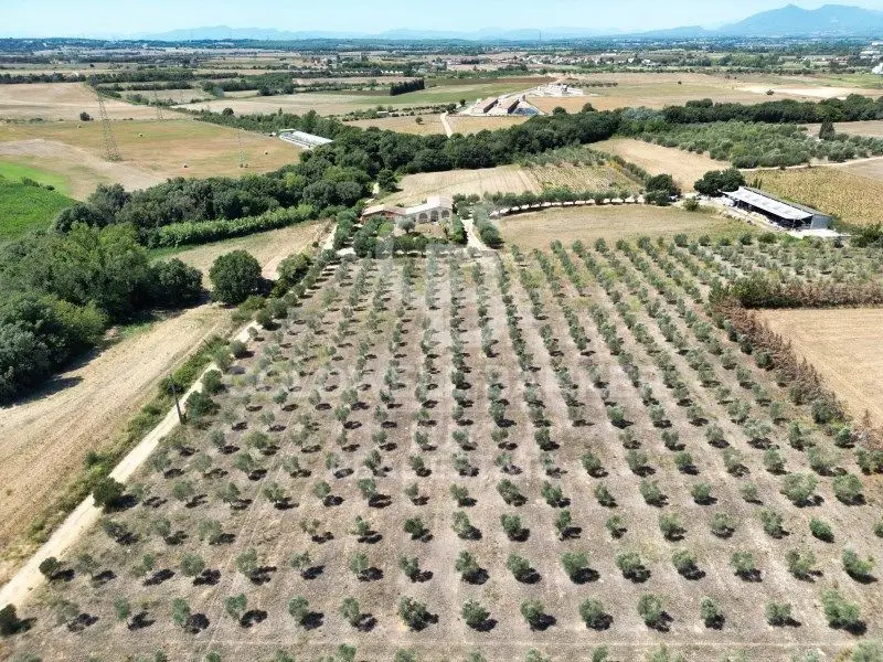 Venta Finca 5 Habitaciones Siurana Masia 45Hectareas