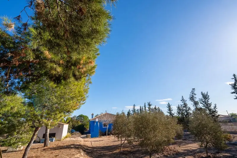 Casa Rural con Piscina en Murcia: Tranquilidad y Naturaleza