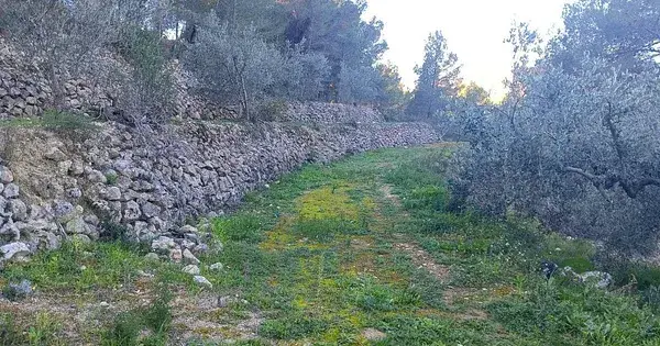Terreno Rustico 9000m2 en Camino a Tarbena