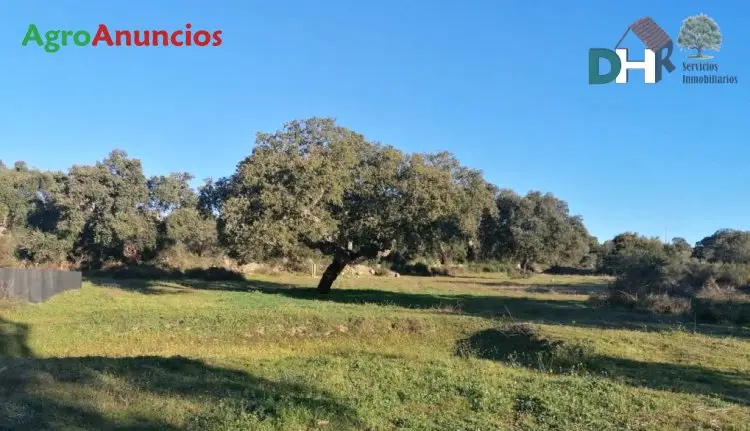 Venta Finca Alcornoques Vivienda Caceres 8 Hectareas
